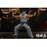 Virtua Fighter 5 Ultimate Showdown figurine Akira Yuki Storm Collectibles