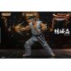 Virtua Fighter 5 Ultimate Showdown figurine Akira Yuki Storm Collectibles