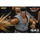 Virtua Fighter 5 Ultimate Showdown figurine Akira Yuki Storm Collectibles