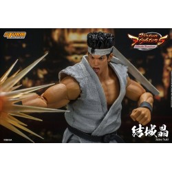 Virtua Fighter 5 Ultimate Showdown figurine Akira Yuki Storm Collectibles