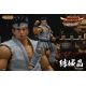 Virtua Fighter 5 Ultimate Showdown figurine Akira Yuki Storm Collectibles