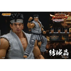 Virtua Fighter 5 Ultimate Showdown figurine Akira Yuki Storm Collectibles