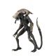 Alien vs Predator figurine Chrysalis Alien Neca