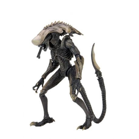 Alien vs Predator figurine Chrysalis Alien Neca