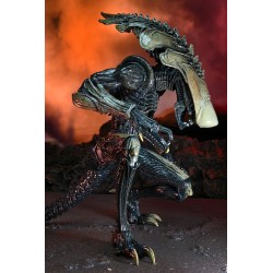 Alien vs Predator figurine Chrysalis Alien Neca