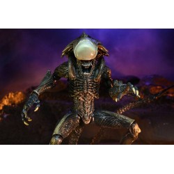 Alien vs Predator figurine Chrysalis Alien Neca
