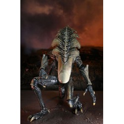 Alien vs Predator figurine Chrysalis Alien Neca