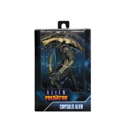 Alien vs Predator figurine Chrysalis Alien Neca