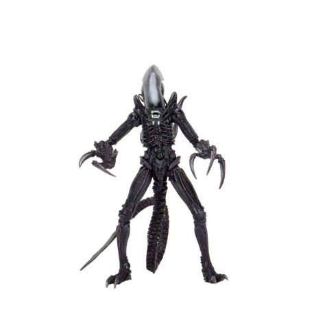 Alien vs Predator figurine Razor Claws Alien Neca