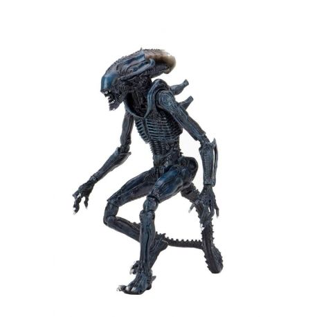 Alien vs Predator figurine Arachnoid Alien Neca