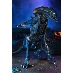 Alien vs Predator figurine Arachnoid Alien Neca