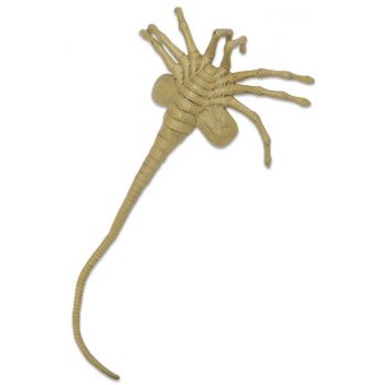 Aliens réplique mousse 1/1 Facehugger Neca