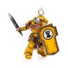 Warhammer 40k figurine Imperial Fists Veteran Brother Thracius Joy Toy