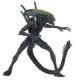 Alien vs. Predator pack 2 figurines Battle Damaged Celtic vs Battle Damaged Grid Neca
