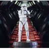 Star Wars Episode IV statuette Milestones Luke Skywalker (Stormtrooper Disguise) Previews Exclusive Gentle Giant