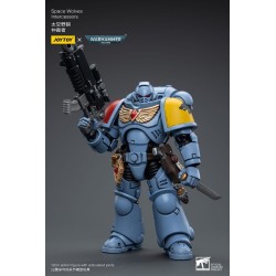 Warhammer 40k figurine Space Wolves Intercessors Joy Toy