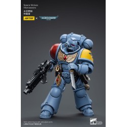 Warhammer 40k figurine Space Wolves Intercessors Joy Toy
