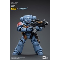 Warhammer 40k figurine Space Wolves Intercessors Joy Toy