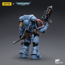 Warhammer 40k figurine Space Wolves Intercessors Joy Toy