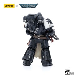 Warhammer 40k figurine Black Templars Primaris Initiate Brother Raemont Joy Toy