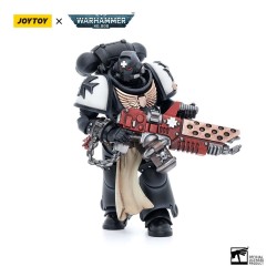 Warhammer 40k figurine Black Templars Primaris Initiate Brother Raemont Joy Toy