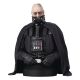 Star Wars Episode VI buste Darth Vader (unhelmeted) Gentle Giant