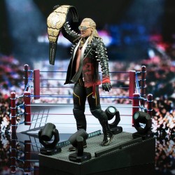 AEW Gallery figurine Chris Jericho Diamond Select