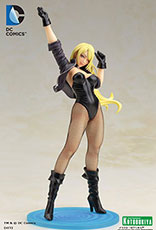 black_canary_kotobukiya_t.jpg